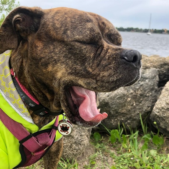 Twist of Bone Customs-FlashpointRacing R/C racing &Rock crawling + vintage toys - Picture 15 of 15